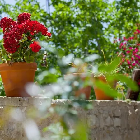 Mesogi Prázdninový dům