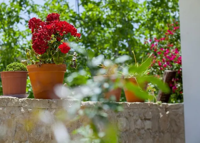 Mesogi Prázdninový dům